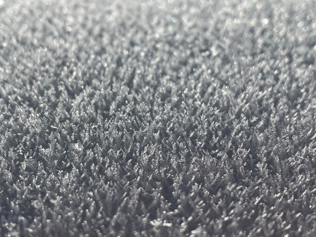 a close up of a brush